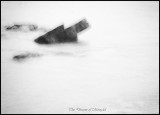 dailyPhoto9